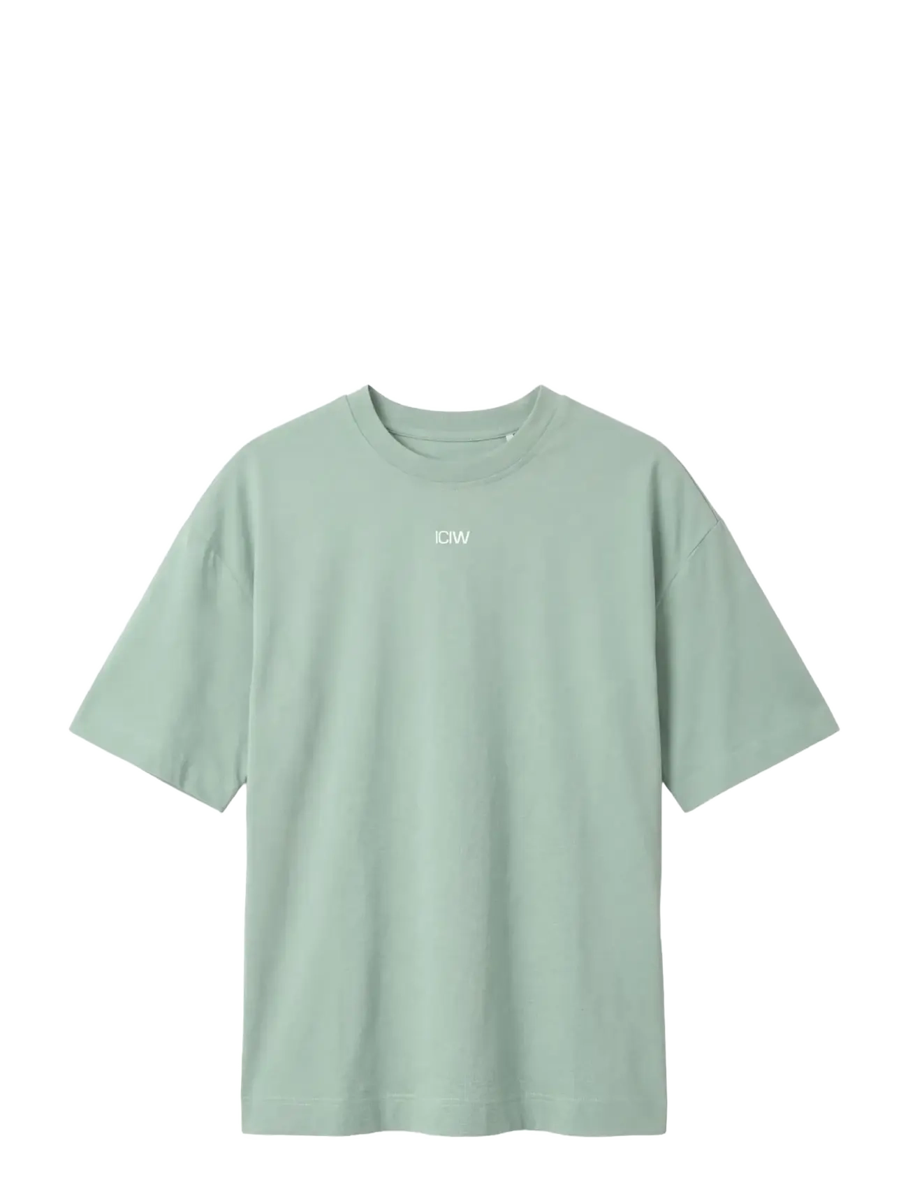 ICANIWILL Everyday Oversized Cotton T-shirt Print W - Tøj - LIGHT MOSS GREEN / green