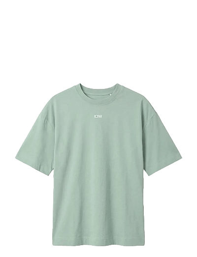 ICANIWILL Everyday Oversized Cotton T-shirt Print W - T-särgid - LIGHT MOSS GREEN / green