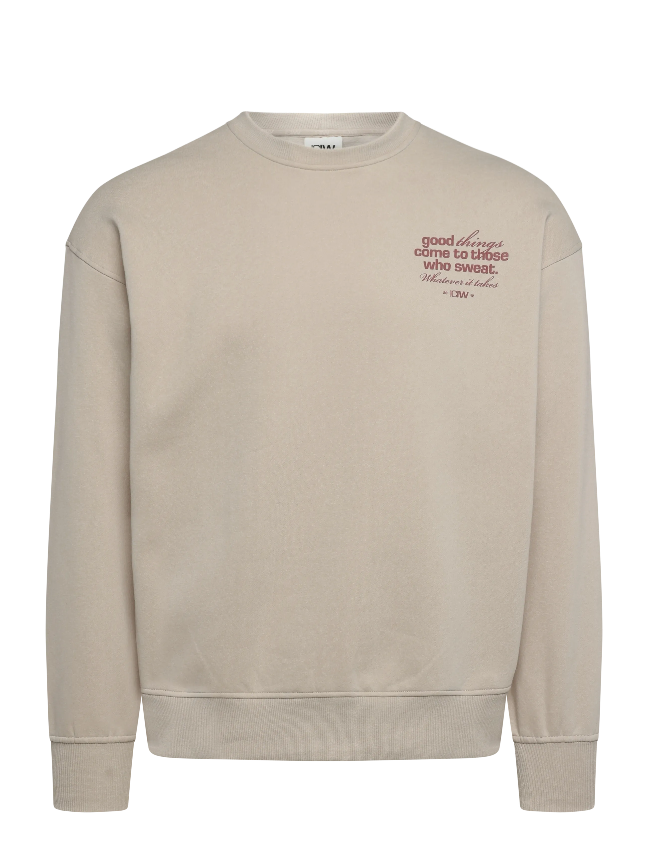 ICANIWILL Everyday Relaxed Crewneck Print W - Kleidung - LIGHT BEIGE / beige