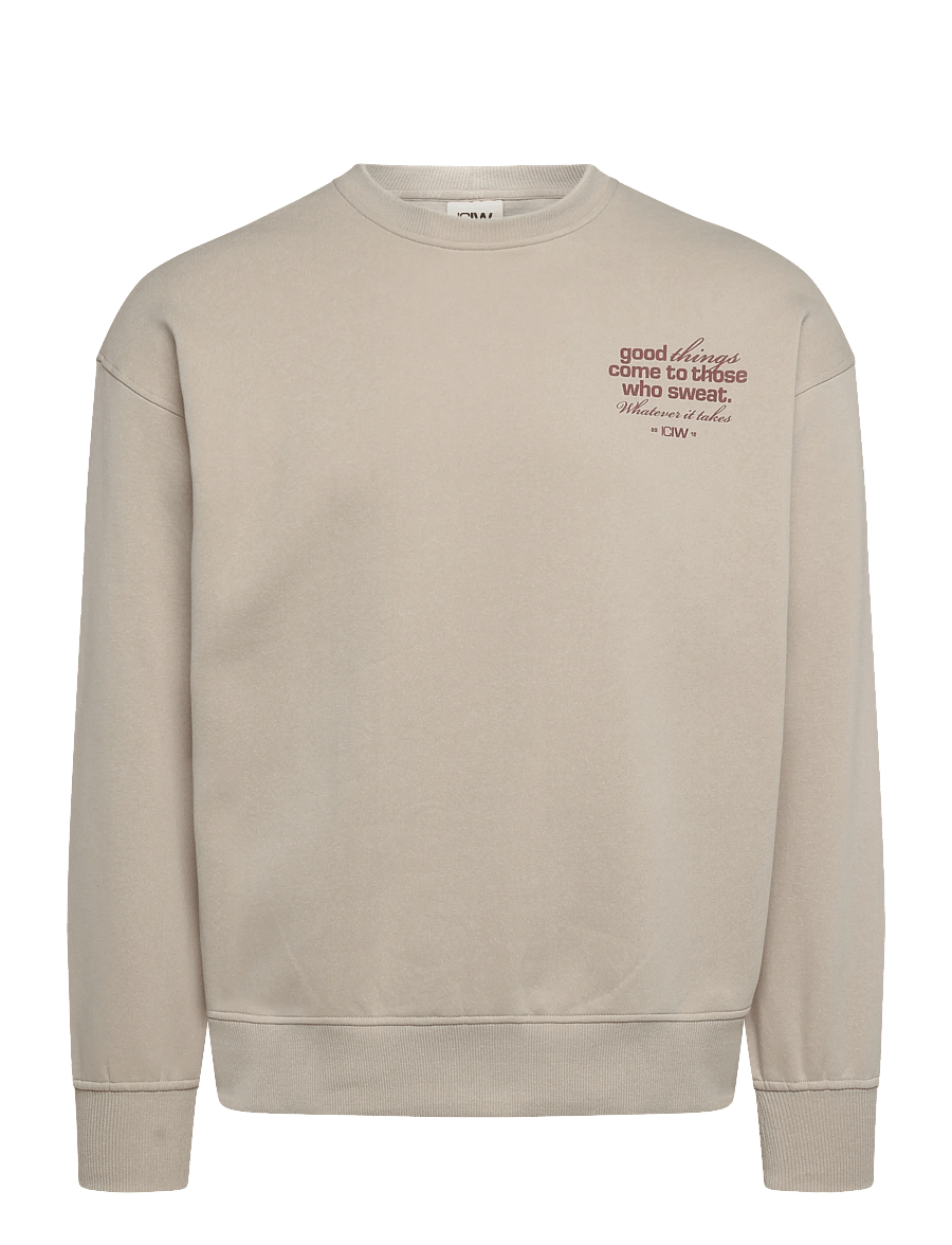 ICANIWILL - Everyday Relaxed Crewneck Print W - sweatshirts - light beige - 1