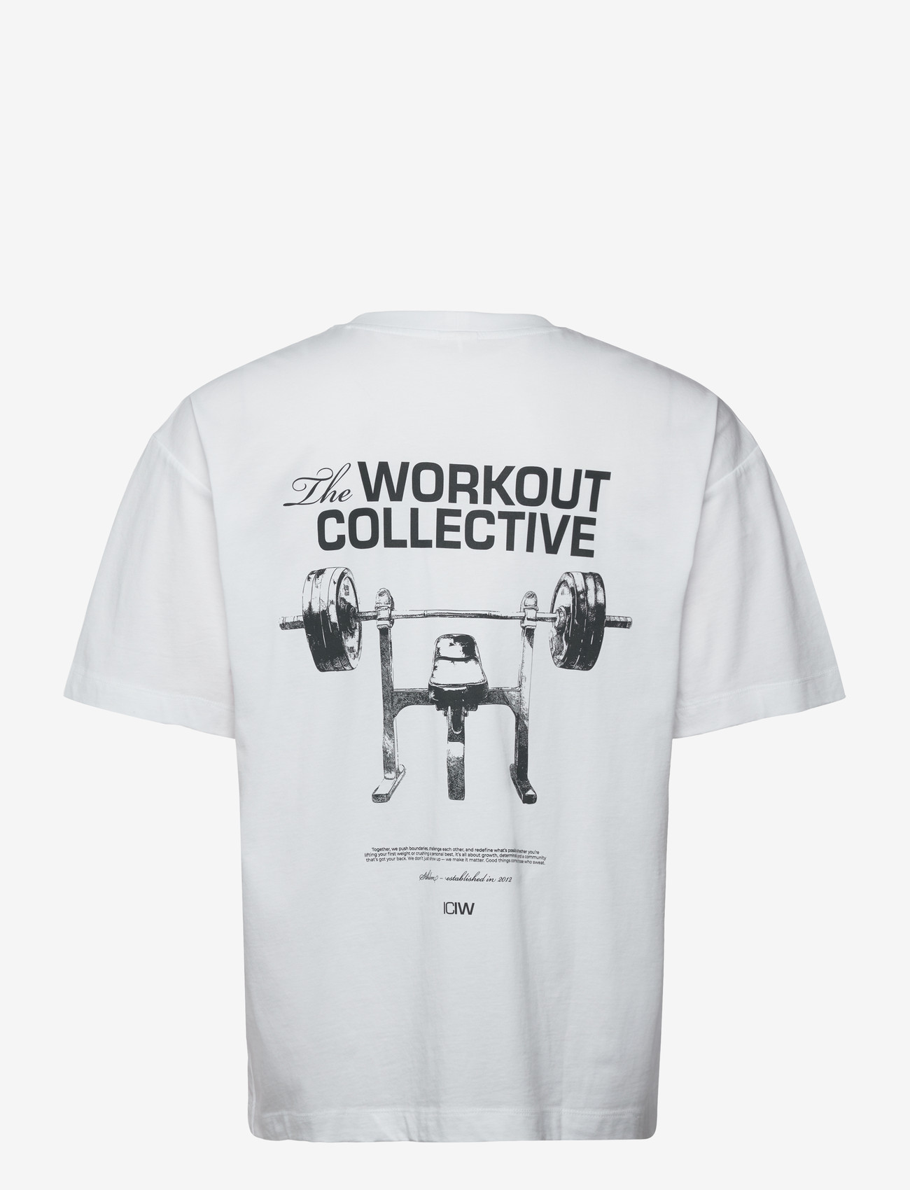 ICANIWILL - Everyday Oversized T-shirt Print M - alussärgid ja t-särgid - white snow - 2