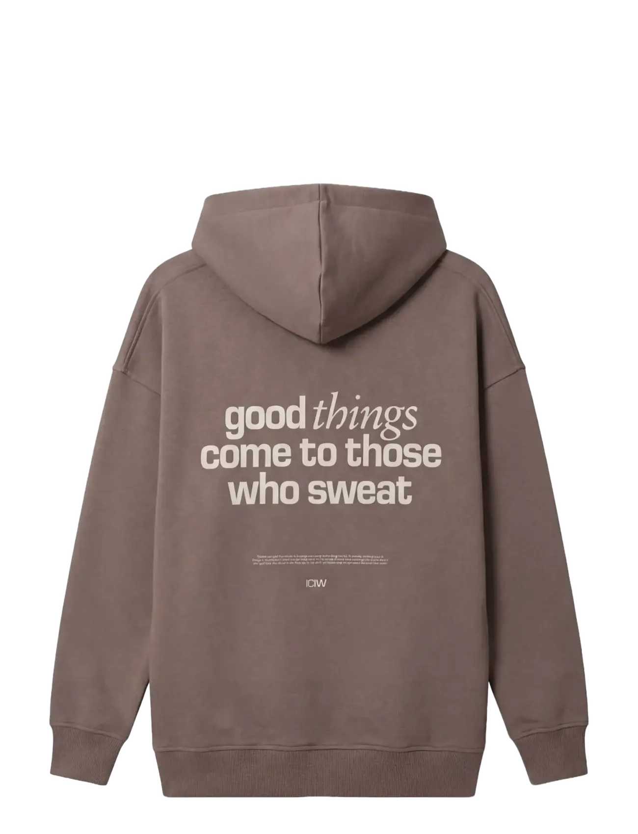 ICANIWILL - Everyday Relaxed Hoodie Print W - sweats et sweats à capuche - warm grey - 2