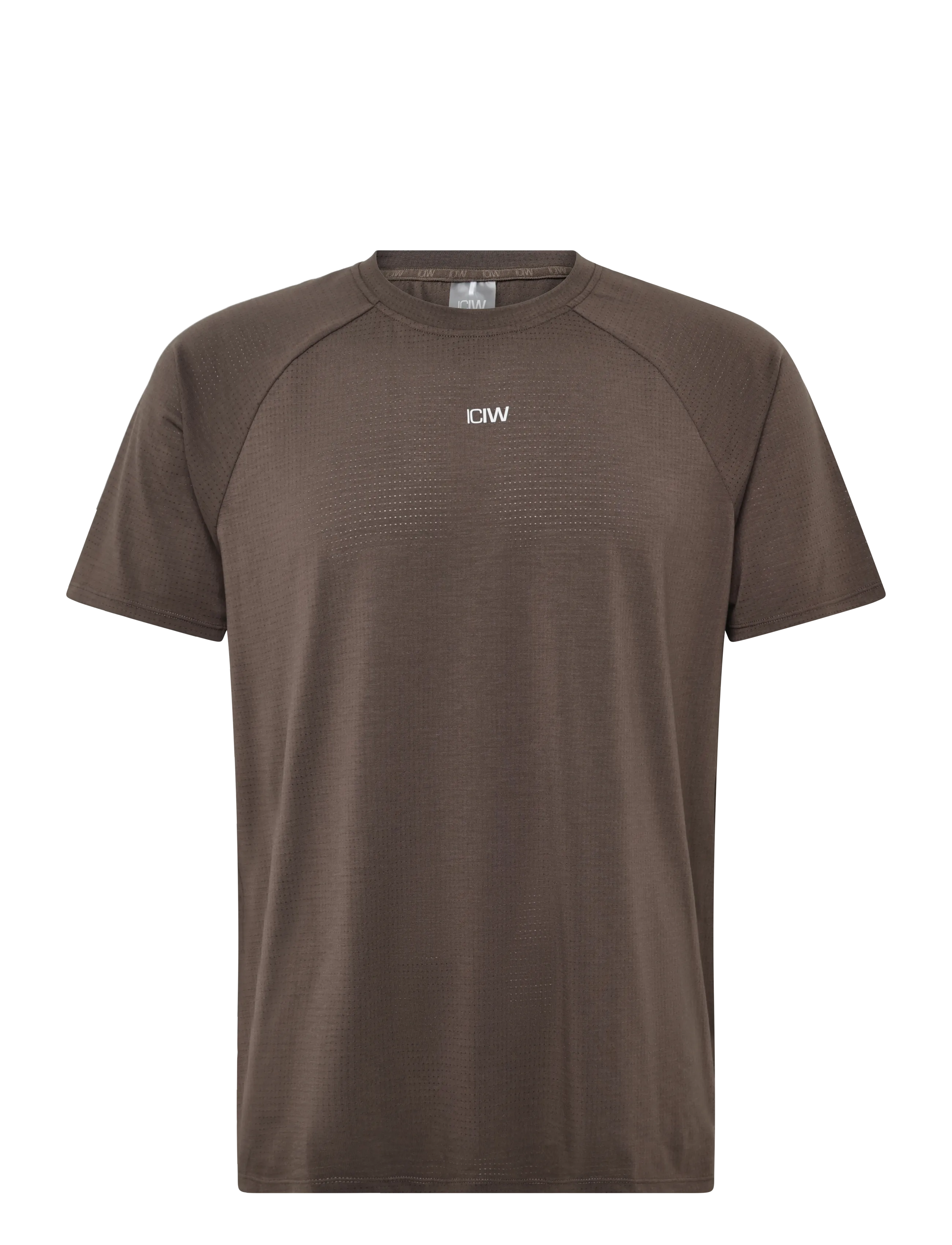 ICANIWILL Stride Raglan Tee Dri-Release M - Alussärgid ja T-särgid - EMBERWOOD / brown