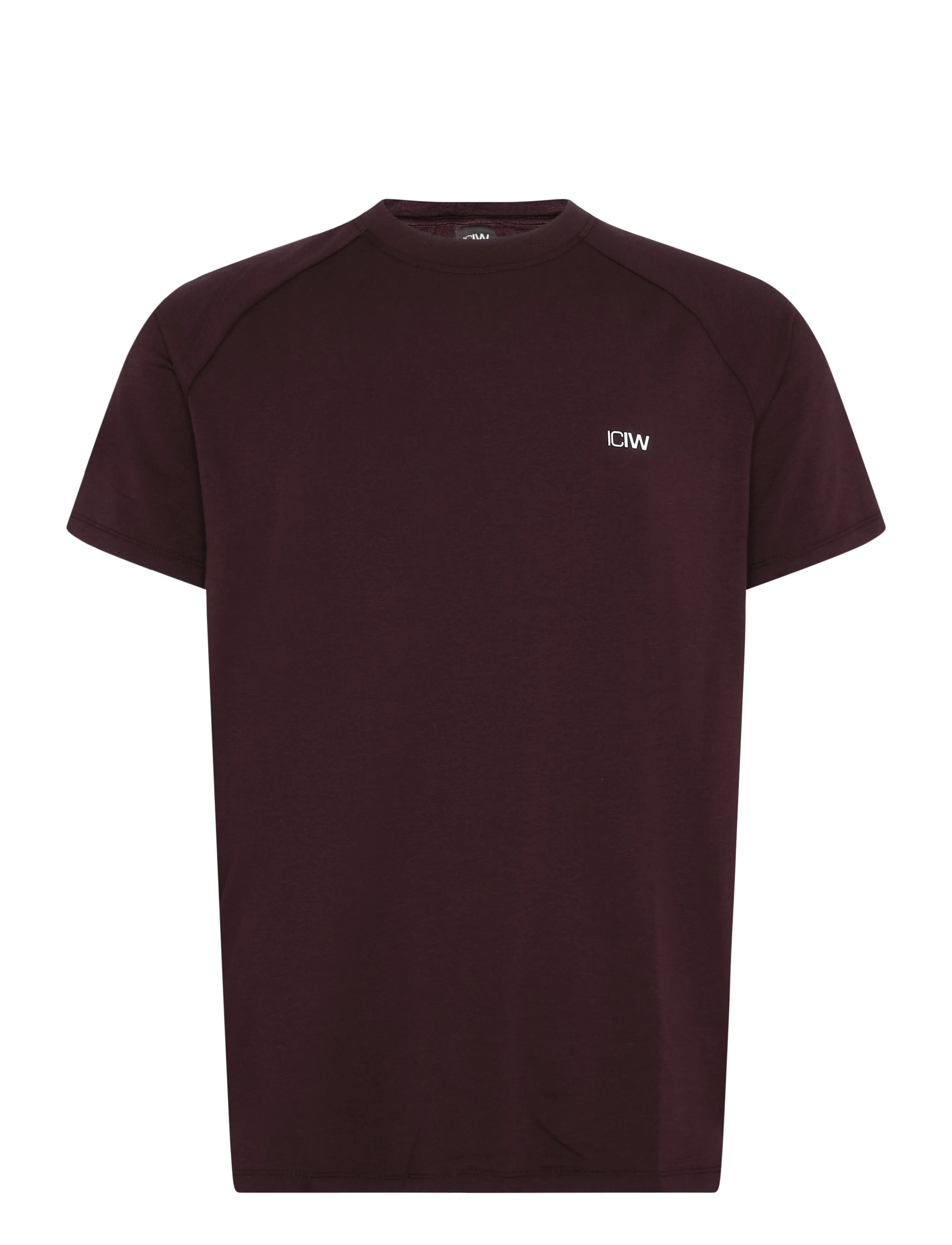 ICANIWILL Workout Raglan Tee M - Kleidung - ESPRESSO / brown