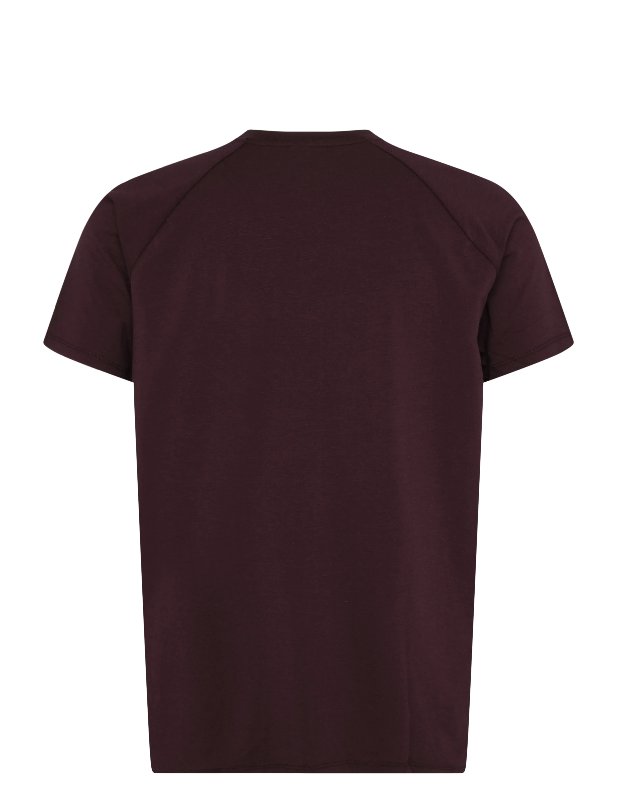 ICANIWILL - Workout Raglan Tee M - espresso - 2