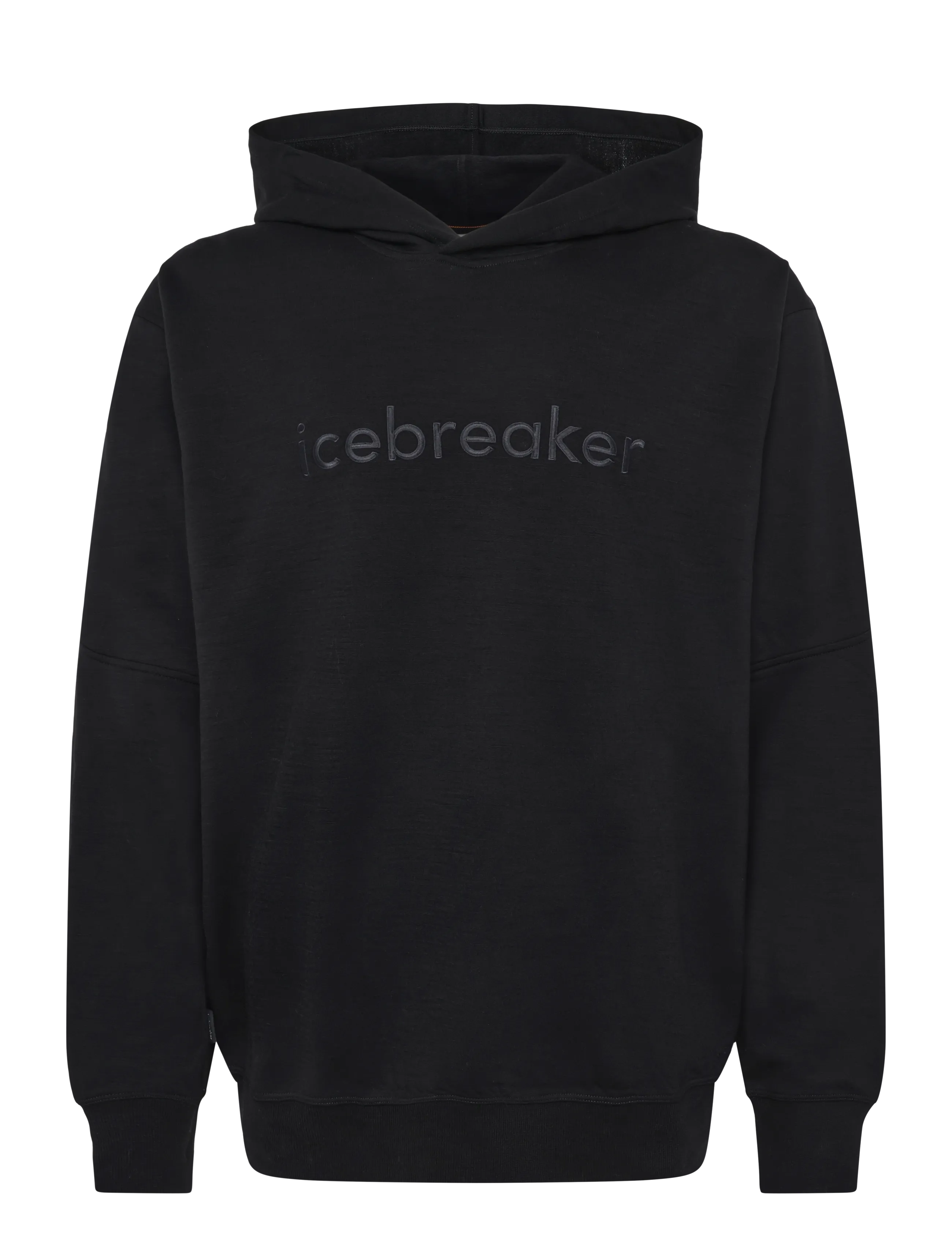Icebreaker M Mer 360 RealFleece Elemental LS Hood - Kapuutsiga pusad - BLACK / black