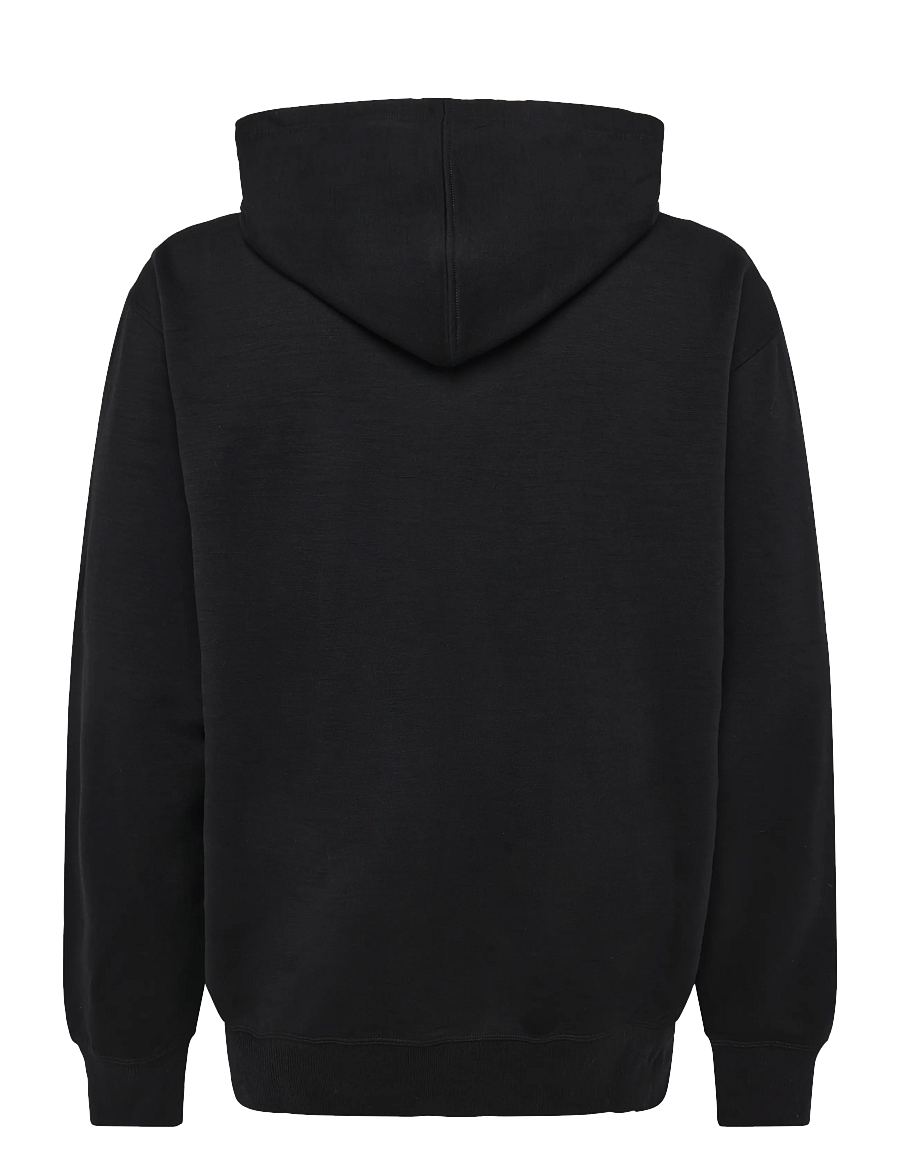 Icebreaker - M Mer 360 RealFleece Elemental LS Hood - kapuutsiga dressipluusid - black - 1