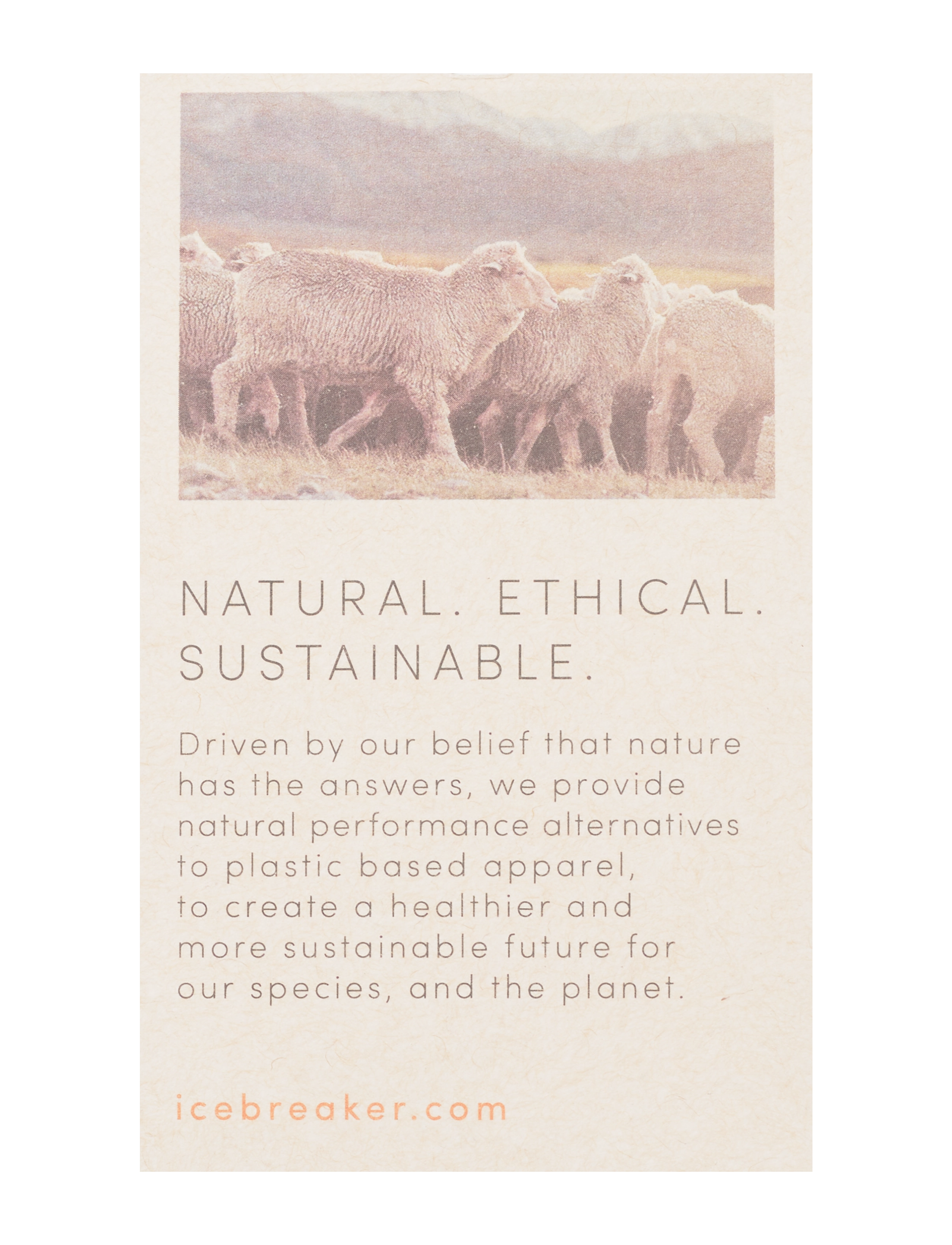 Icebreaker - W Merino Natural Blend Overshirt - enamel - 4