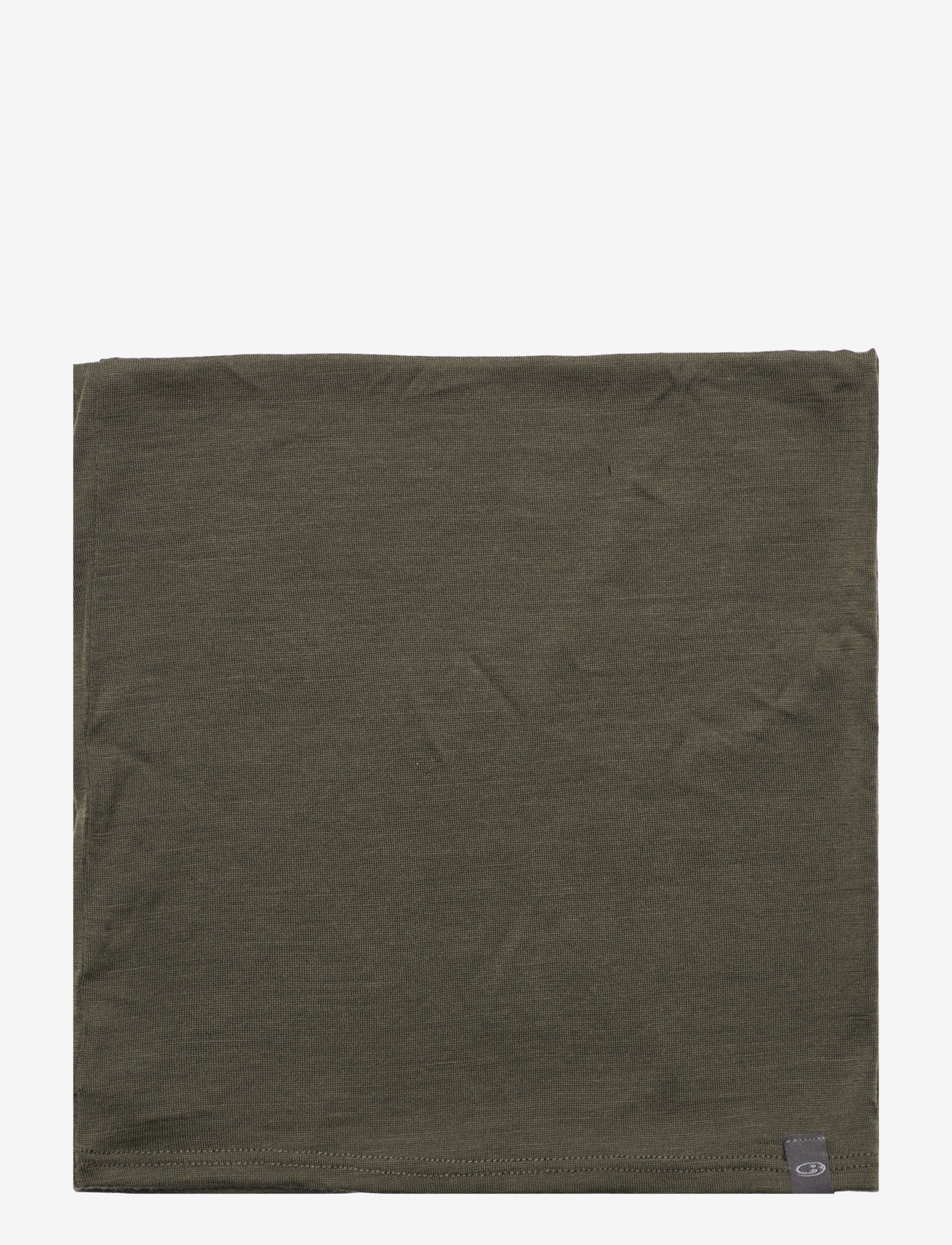 Icebreaker - U 200 Oasis Flexi Chute - loden - 2