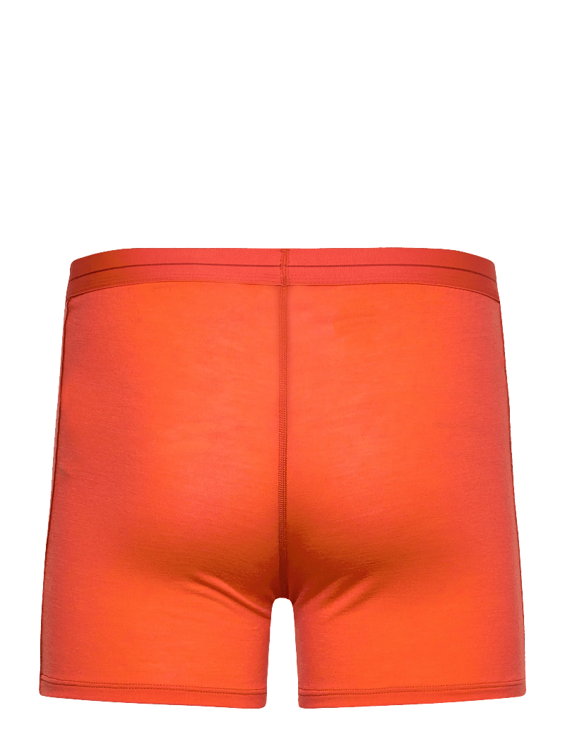 Icebreaker - M Anatomica Boxers - trunks - fervid - 1
