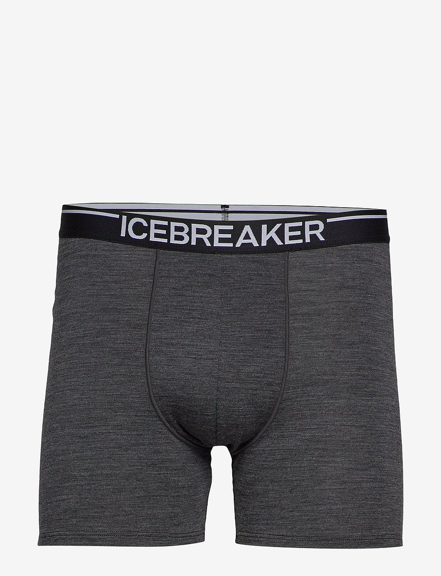 Icebreaker - M Anatomica Boxers - boxers - jet hthr-011 - 1