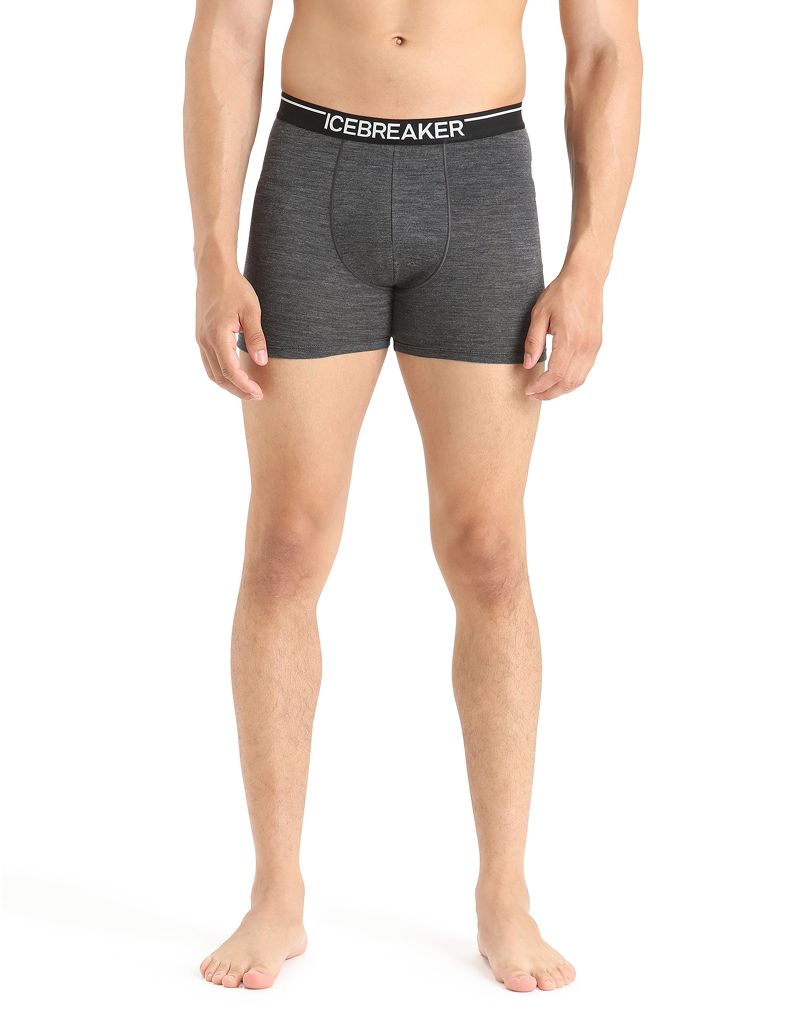 Icebreaker M Anatomica Boxers, M, Grey, Undertøj > Boksere, Herre