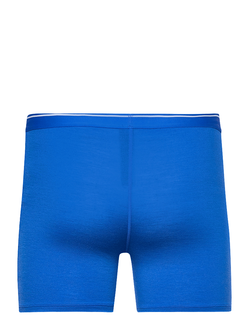 Icebreaker - M Anatomica Boxers - boxerkalsonger - lazurite - 2