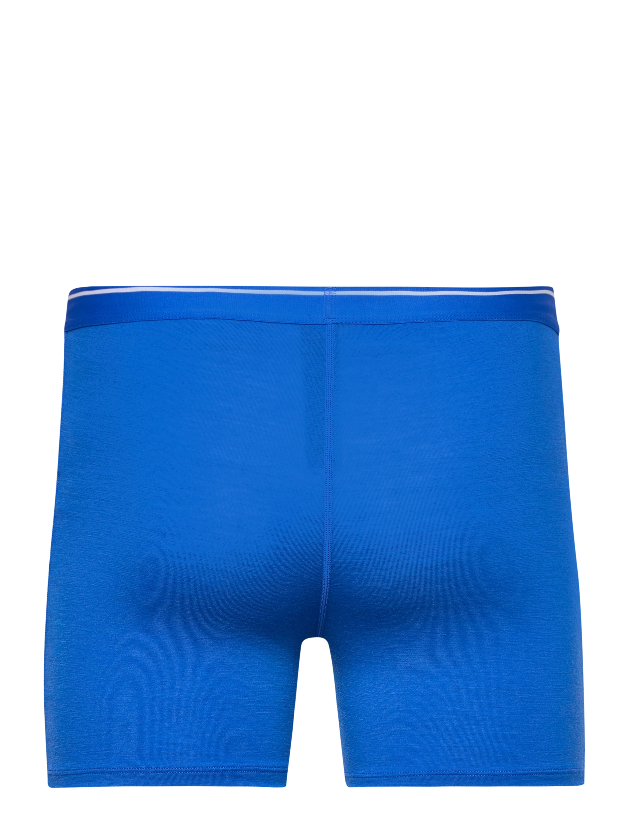 Icebreaker - M Anatomica Boxers - boxershorts - lazurite - 2