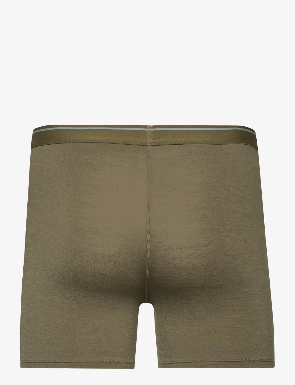 Icebreaker - M Anatomica Boxers - boxer briefs - loden - 2