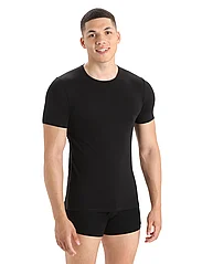 Icebreaker - Men Anatomica SS Crewe - short-sleeved t-shirts - black/monsoon - 2