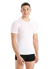 Icebreaker - Men Anatomica SS Crewe - short-sleeved t-shirts - snow-104 - 2