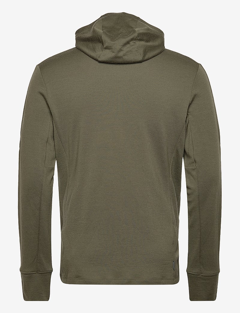 Icebreaker - M Mer 260 Quantum IV LS Zip Hoodie - loden - 1