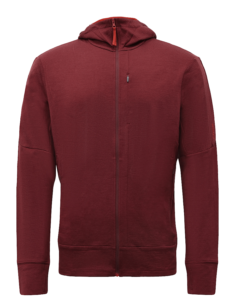 Icebreaker - Men Merino 260 Quantum LS Zip Hoodie - tops - port/agate - 0