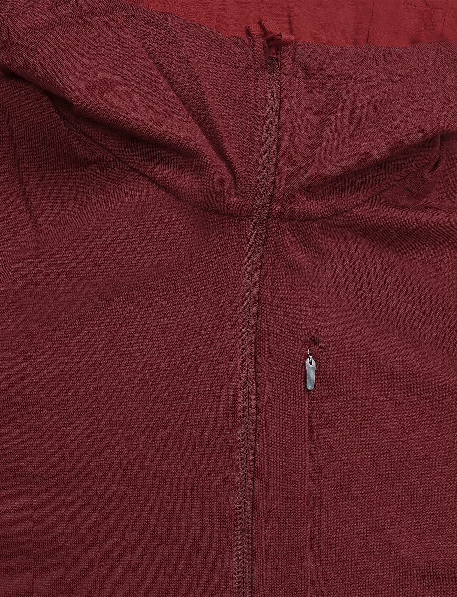 Icebreaker - Men Merino 260 Quantum LS Zip Hoodie - tops - port/agate - 2