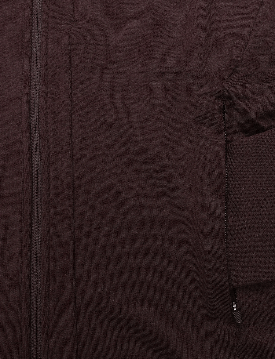 Icebreaker - Women Merino 260 Quantum LS Zip Hoodie - huvtröjor - bittersweet - 3