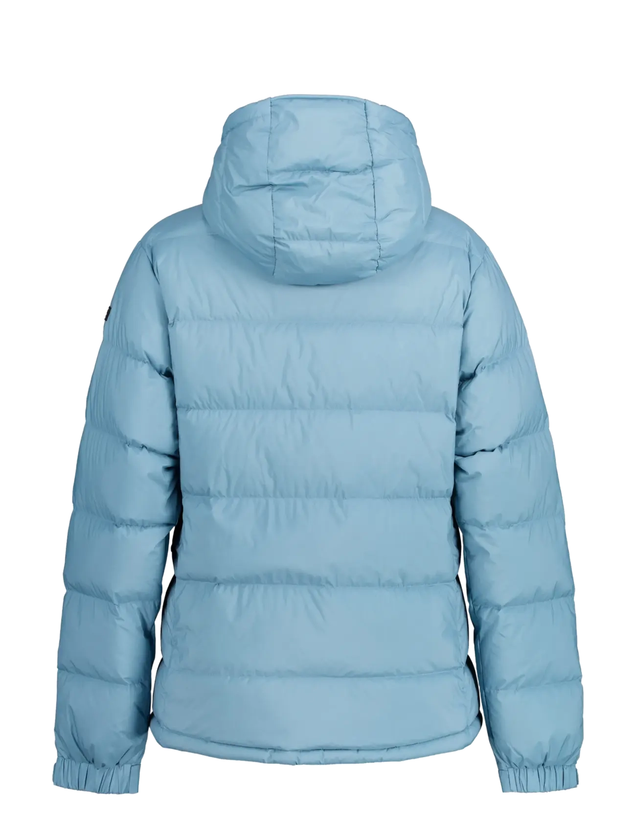 Icepeak - ICEPEAK BARTH/ WM DOWN JACKET - light blue - 1