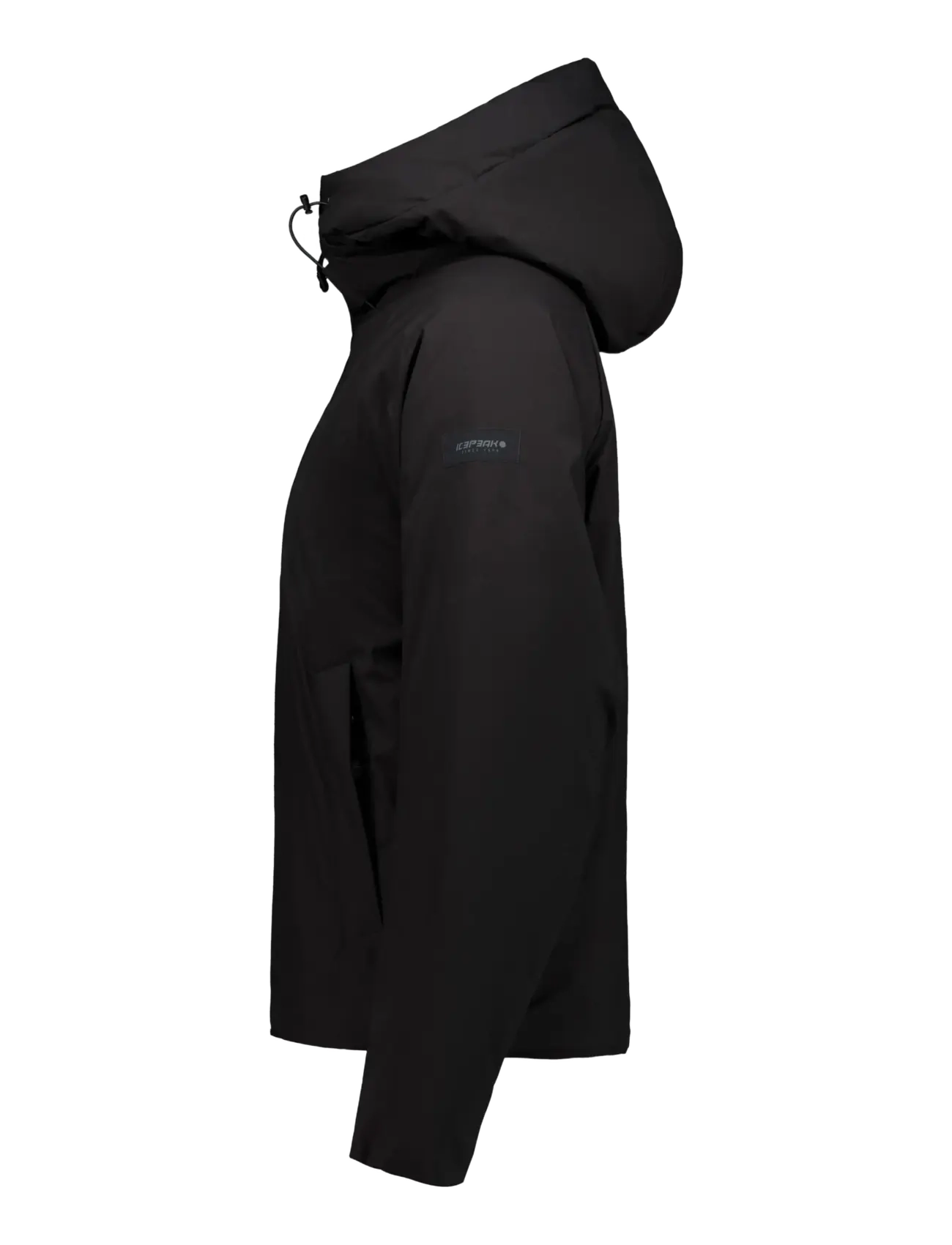 Icepeak - ICEPEAK ADANA/ WM WADDED JACKET - basic black - 2