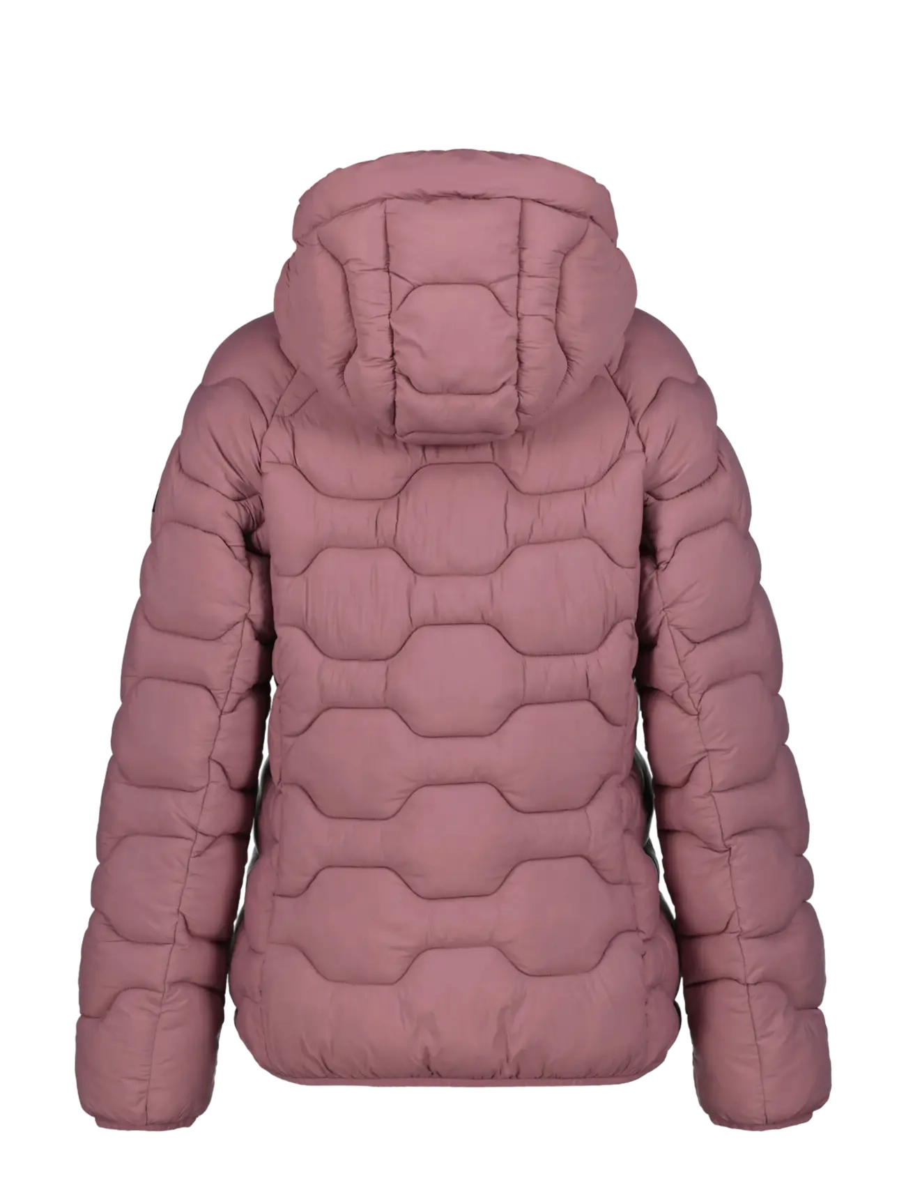 Icepeak - ICEPEAK BLACKEY/WM DOWNLOOK JACKET - winterjacken - amethyst - 1