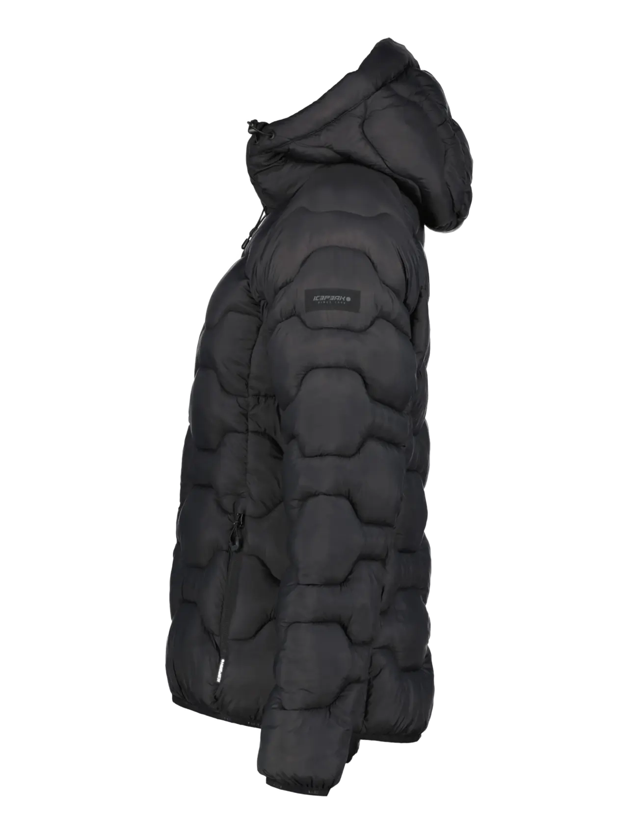 Icepeak - ICEPEAK BLACKEY/WM DOWNLOOK JACKET - vinterjackor - basic black - 2