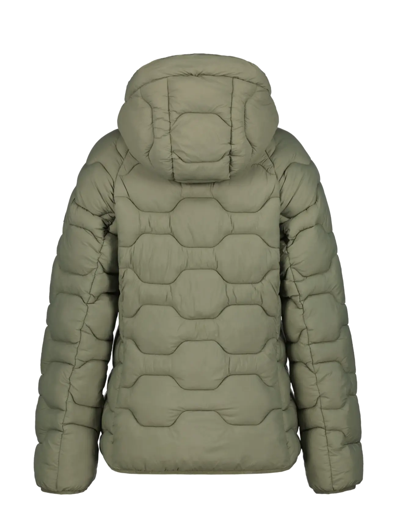 Icepeak - ICEPEAK BLACKEY/WM DOWNLOOK JACKET - winterjacken - light green - 1