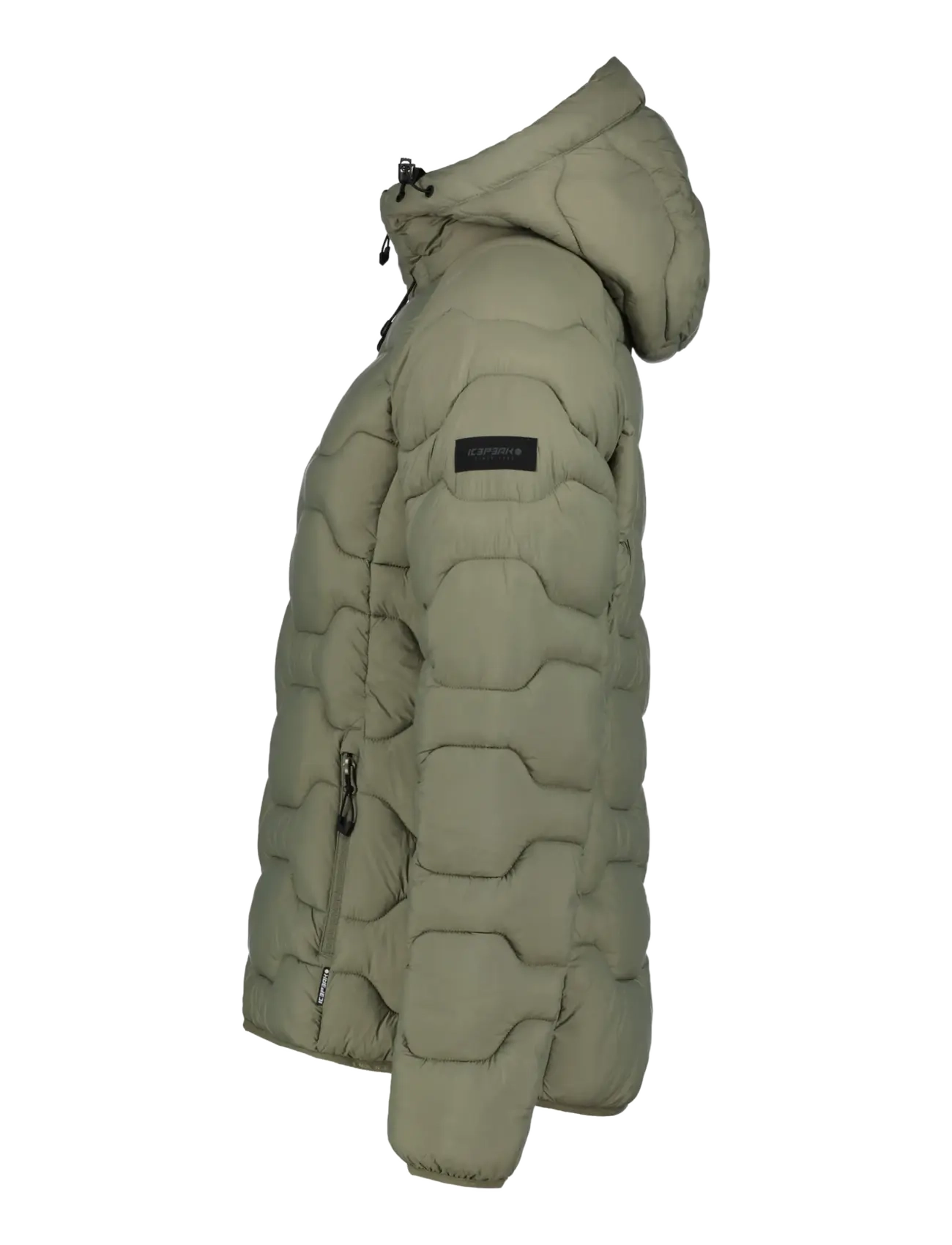 Icepeak - ICEPEAK BLACKEY/WM DOWNLOOK JACKET - winterjacken - light green - 2