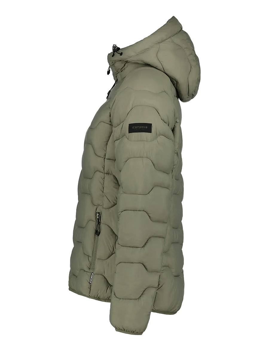 Icepeak - ICEPEAK BLACKEY/WM DOWNLOOK JACKET - winterjacken - light green - 2