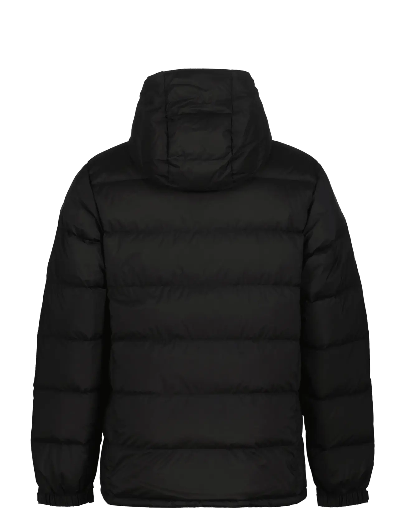 Icepeak - ICEPEAK BARTOW /M DOWN JACKET - daunenjacken - basic black - 1