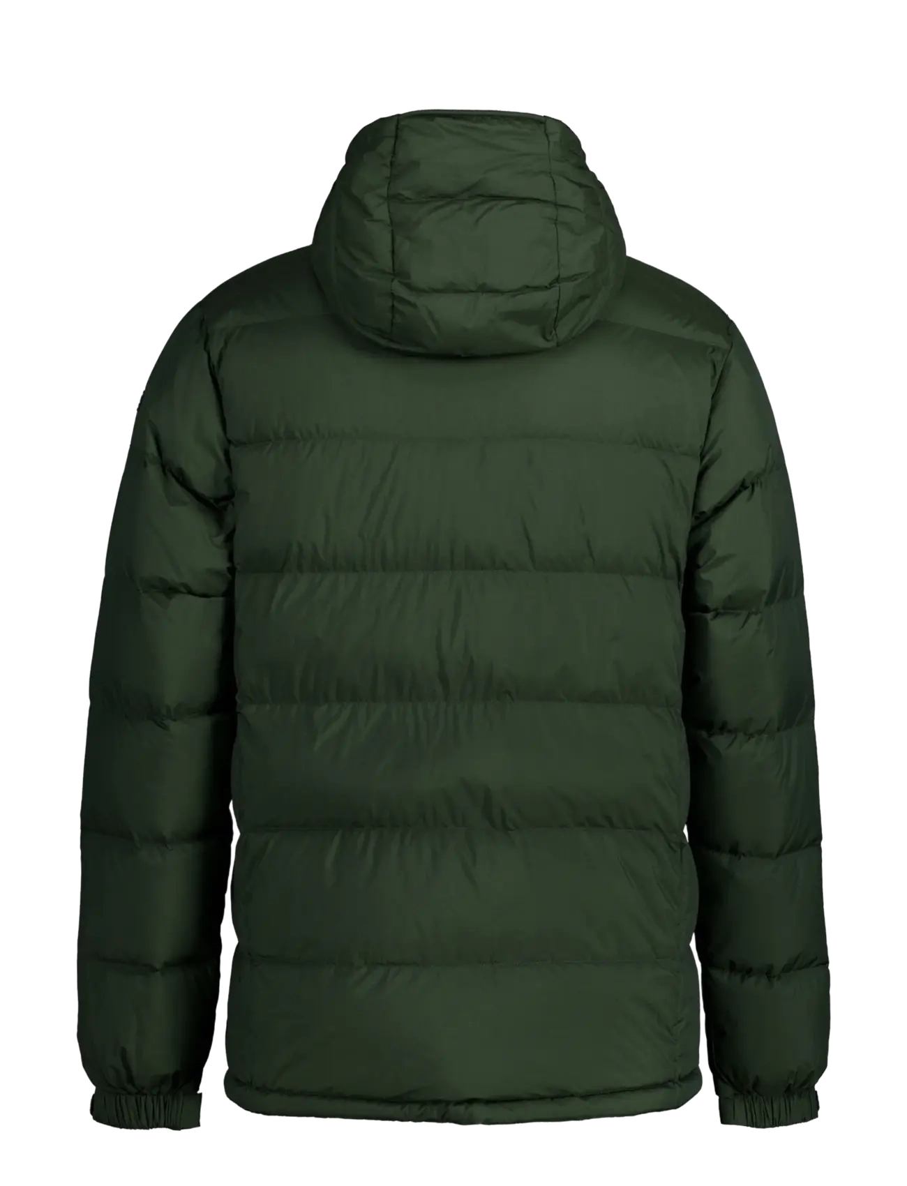 Icepeak - ICEPEAK BARTOW /M DOWN JACKET - dark green - 1