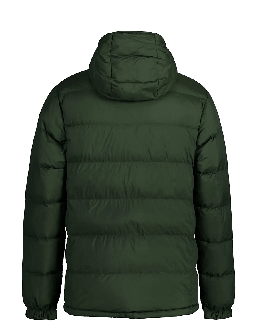 Icepeak - ICEPEAK BARTOW /M DOWN JACKET - dark green - 1