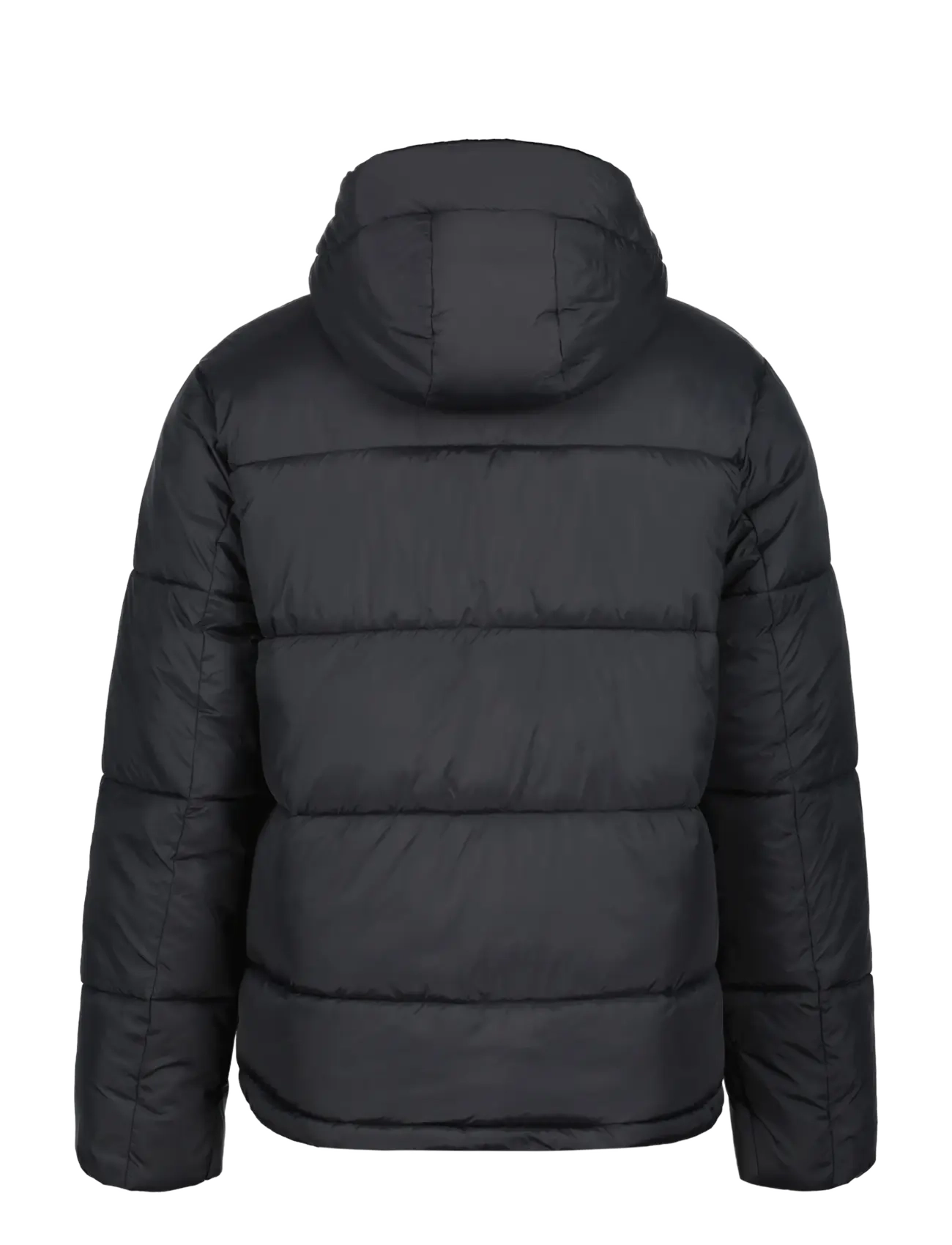 Icepeak - ICEPEAK ALEDO /M WADDED JACKET - down jackets - basic black - 1
