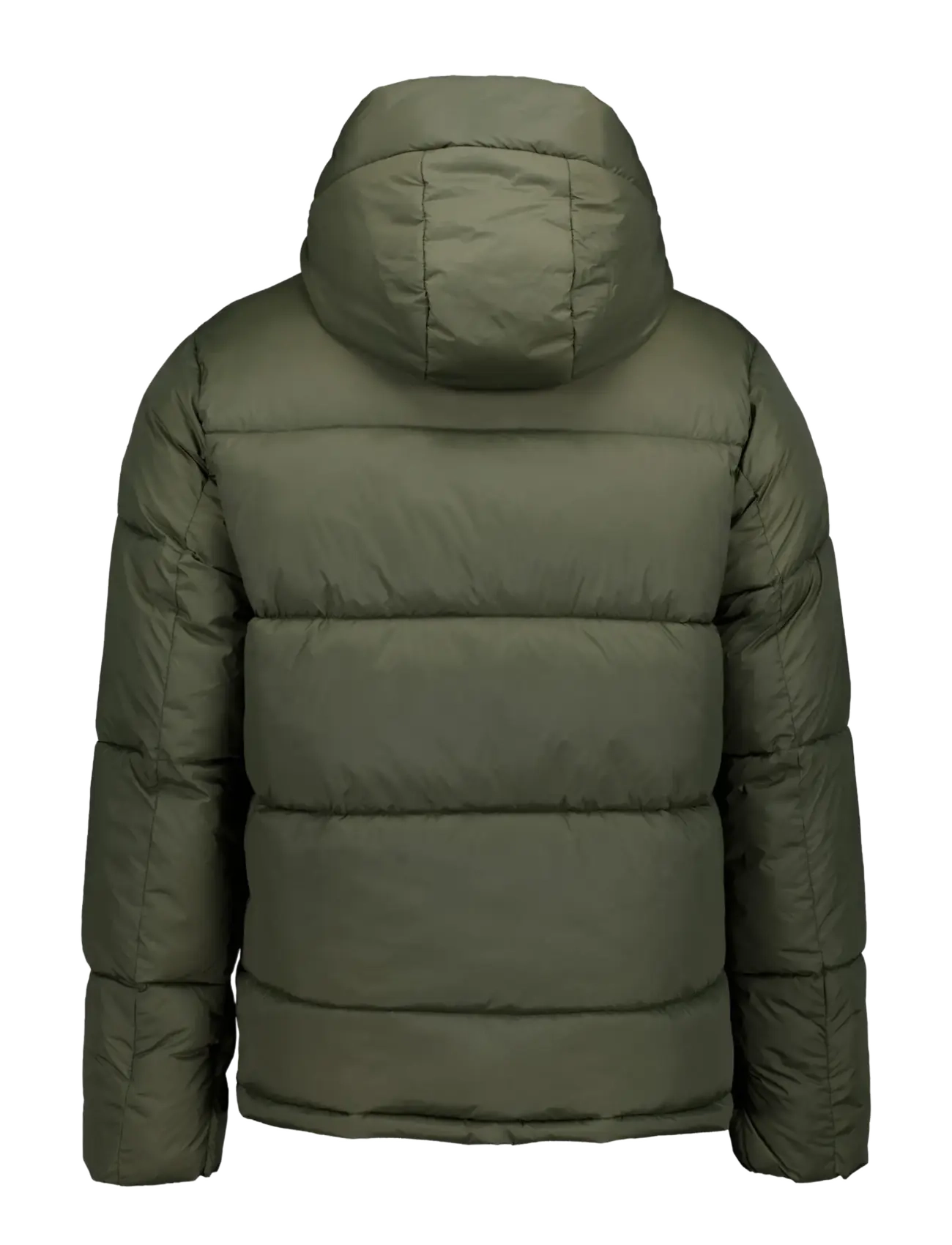 Icepeak - ICEPEAK ALEDO /M WADDED JACKET - sulejoped ja voodriga joped - olive - 1