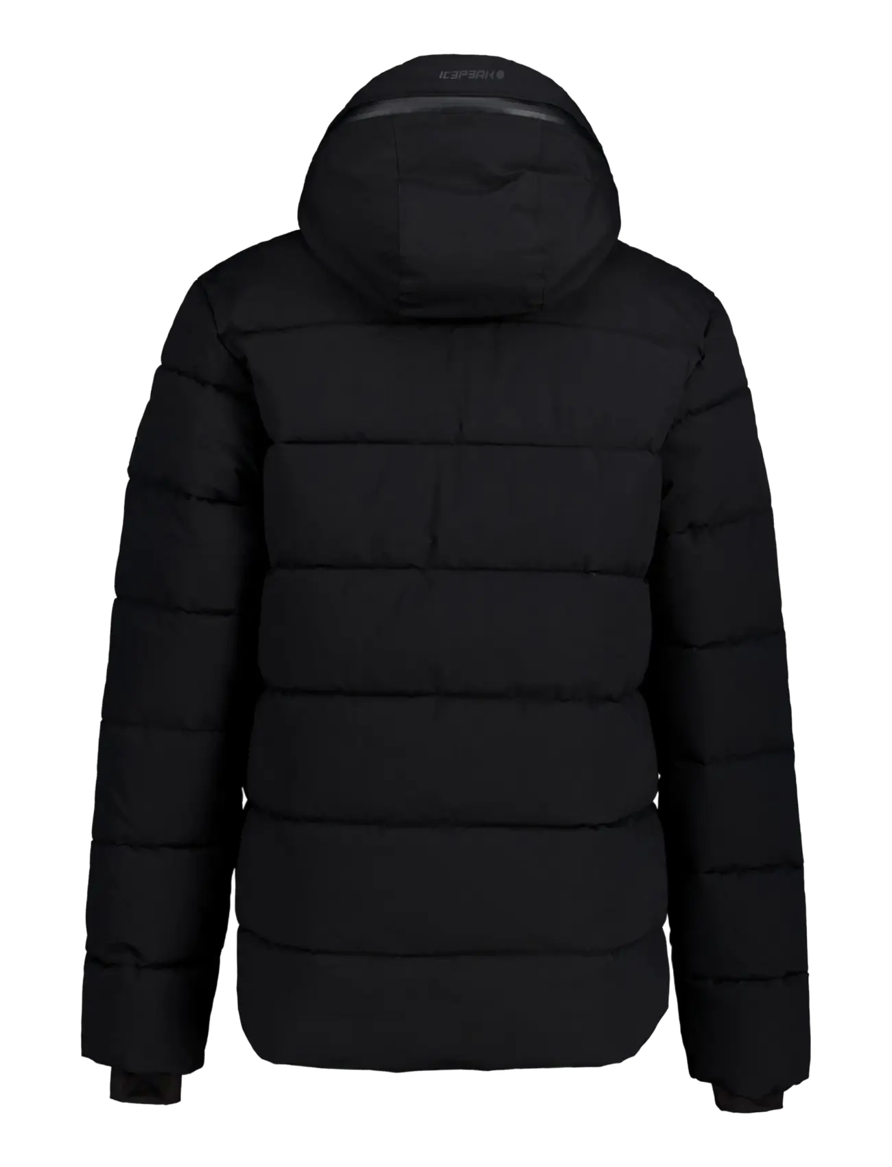 Icepeak - ICEPEAK BIXBY /M DOWNLOOK JACKET - basic black - 1