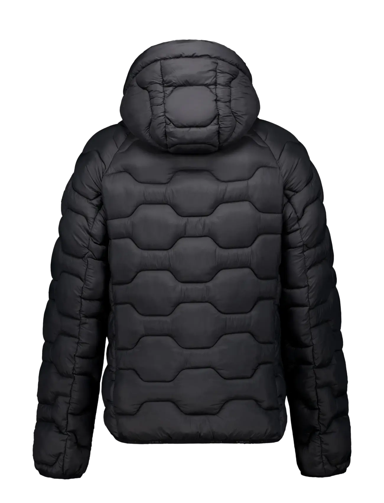 Icepeak - ICEPEAK BRANCH/M DOWNLOOK JACKET - dunjackor - basic black - 1
