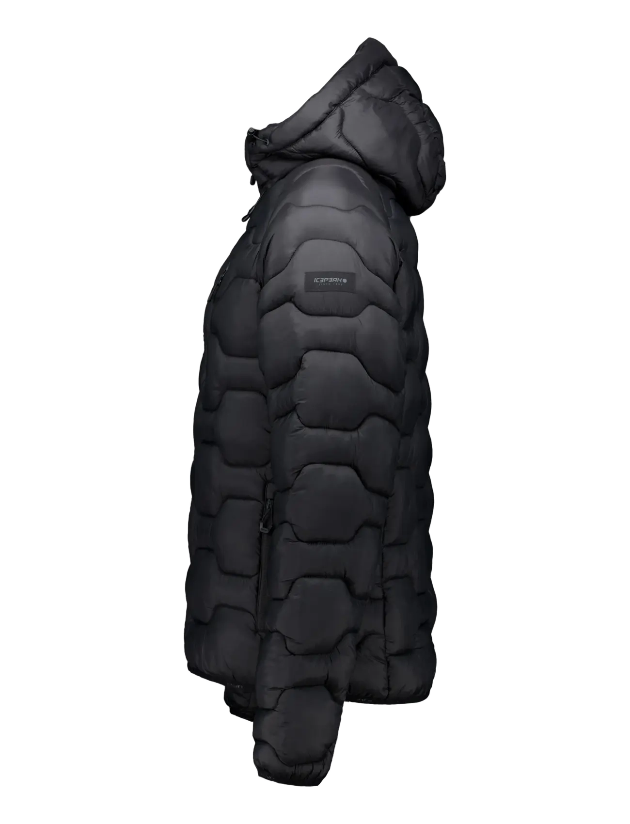 Icepeak - ICEPEAK BRANCH/M DOWNLOOK JACKET - dunjackor - basic black - 2