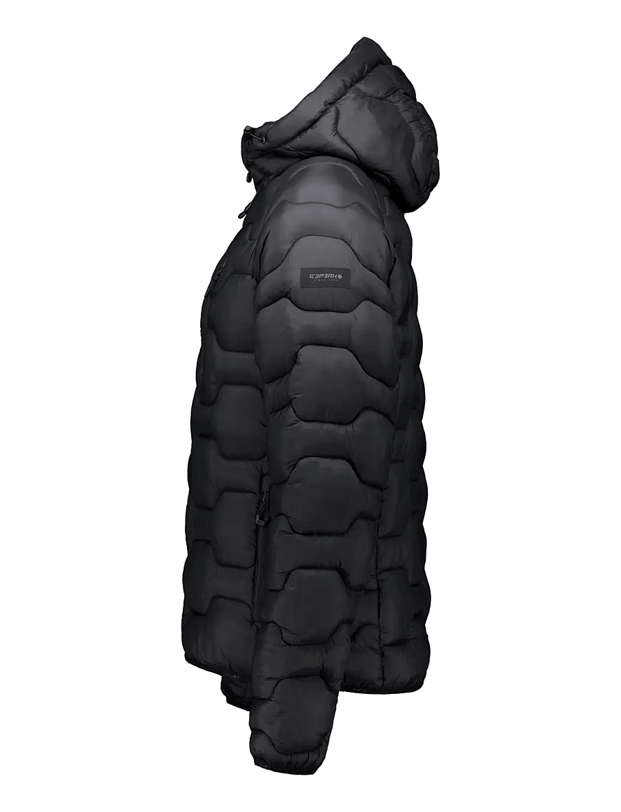 Icepeak - ICEPEAK BRANCH/M DOWNLOOK JACKET - dunjackor - basic black - 2