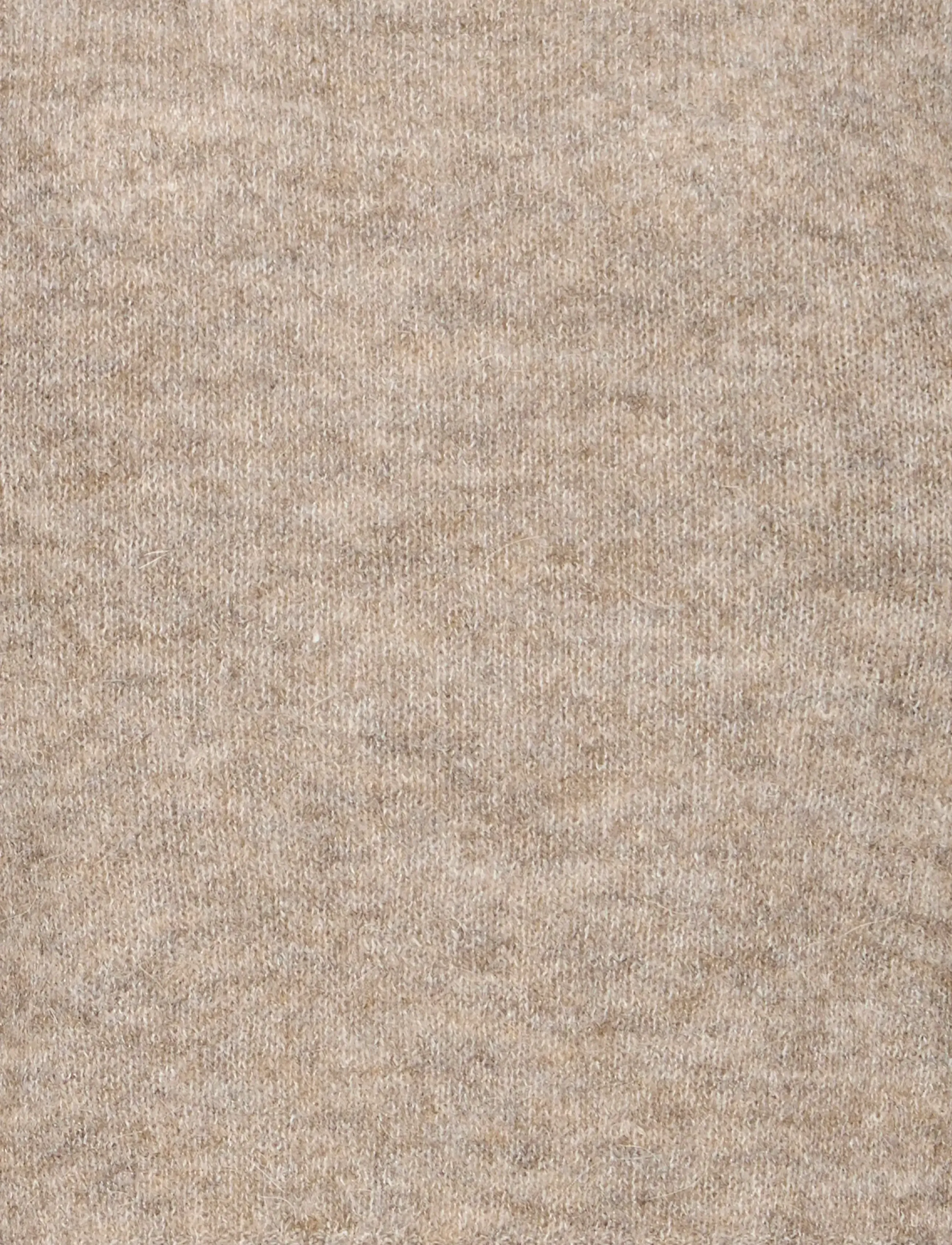 ICHI - IHKAMARA RN2 - fungi - 5