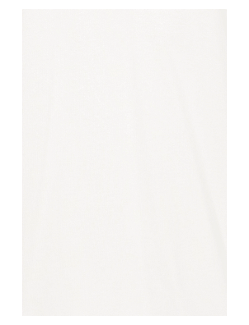 ICHI - IHPALMONI SS - t-shirts - cloud dancer - 3