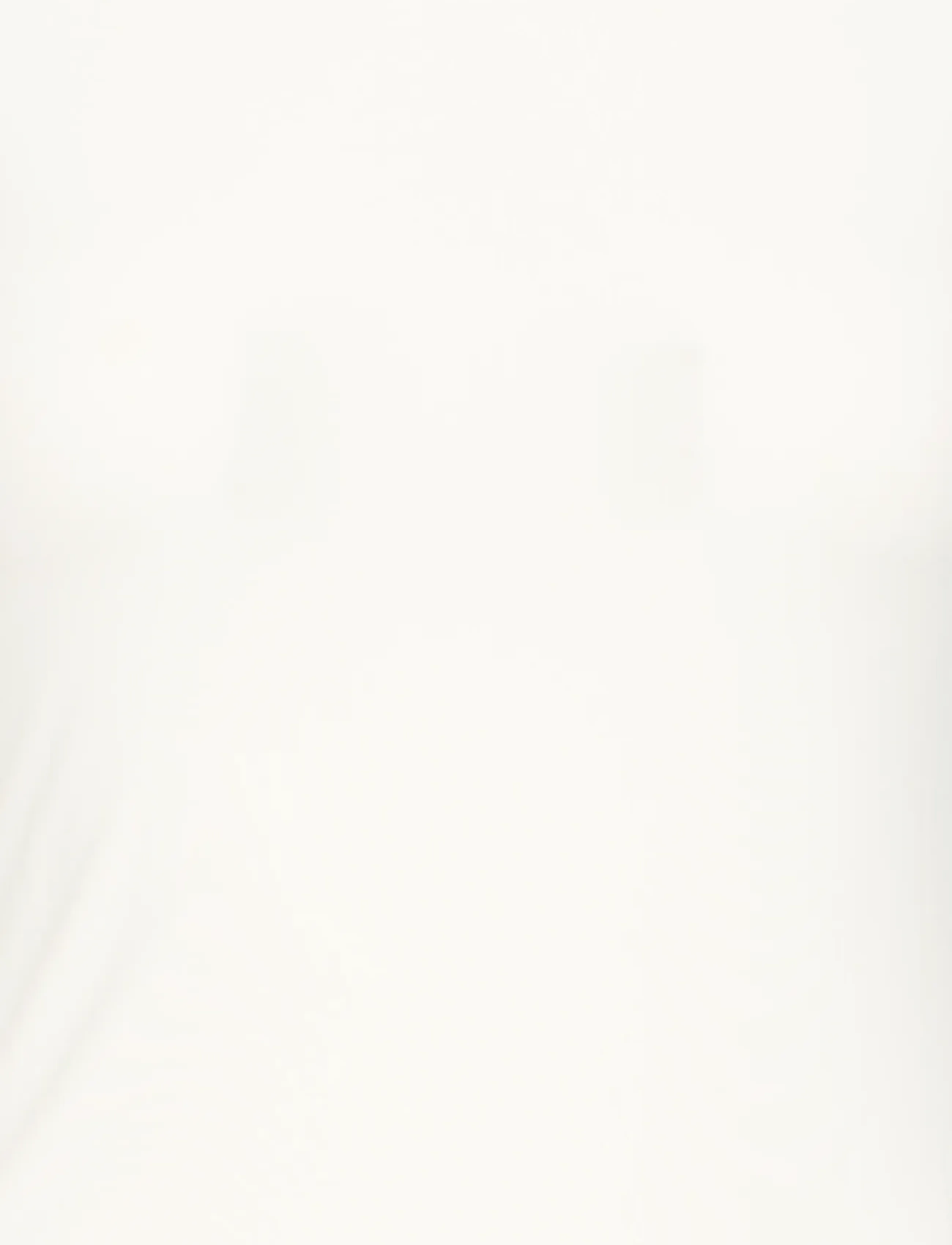 ICHI - IHESSA SS - t-shirts - cloud dancer - 5