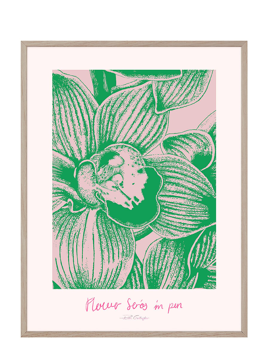 If Walls Could Talk - Delicate Resilience - grafische muster - multi-colored - 0