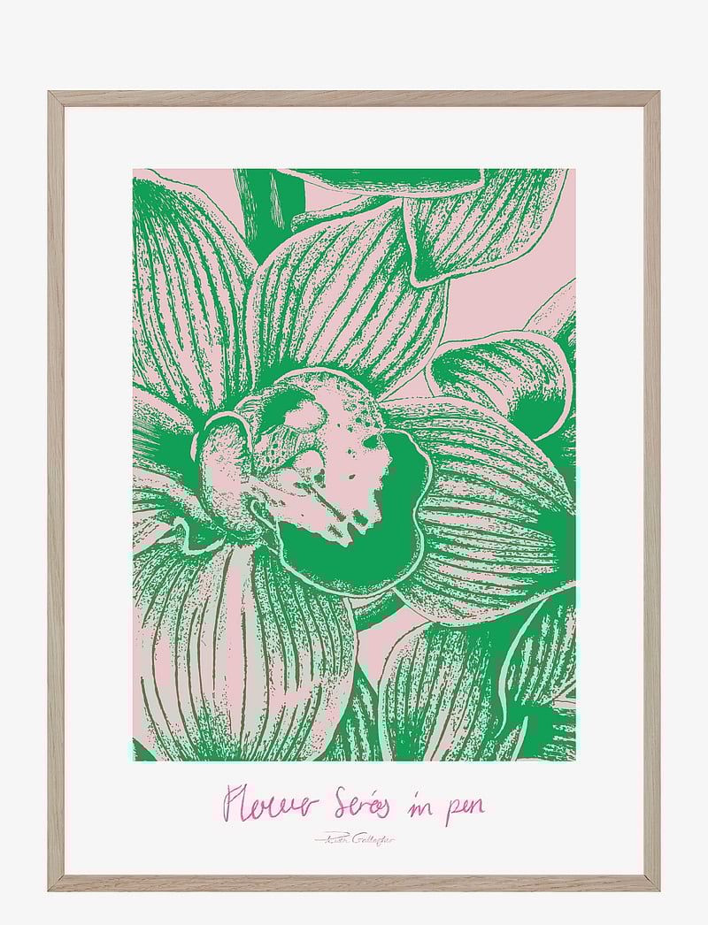 If Walls Could Talk - Delicate Resilience - geschenke unter 100€ - multi-colored - 1