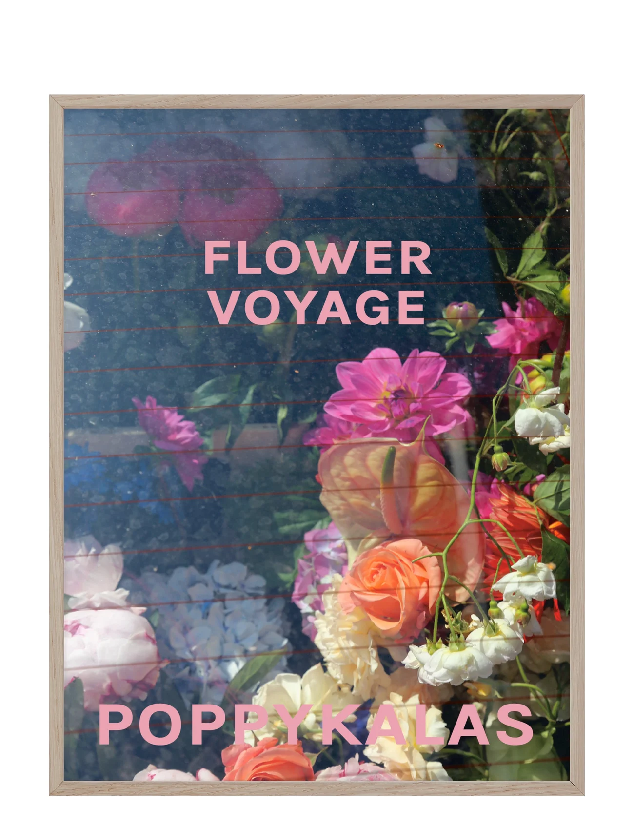 If Walls Could Talk - Flower Voyage 01 - zemākās cenas - multi-colored - 0