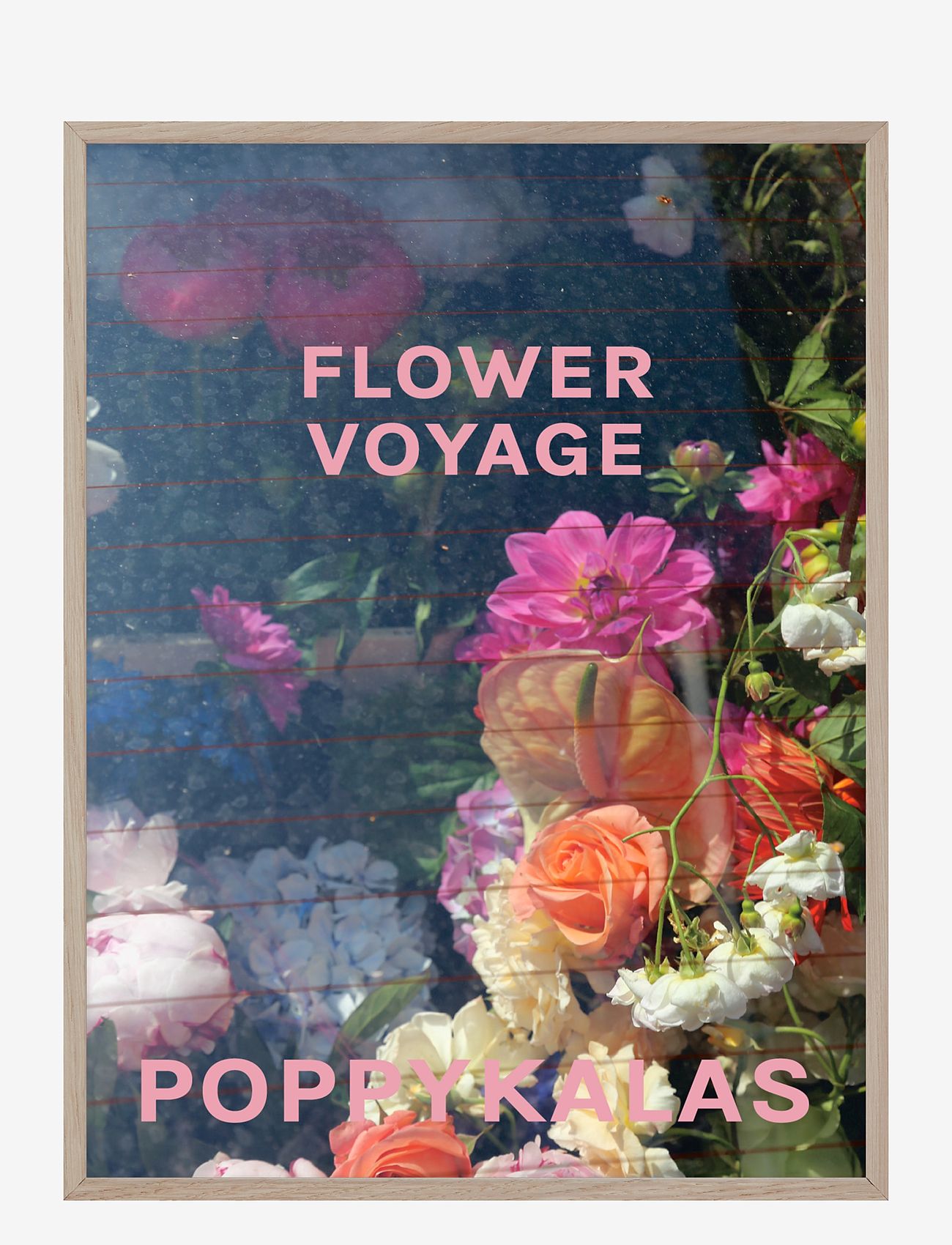 If Walls Could Talk - Flower Voyage 01 - zemākās cenas - multi-colored - 1
