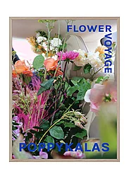 If Walls Could Talk - Flower Voyage 02 - lowest prices - multi-colored - 0