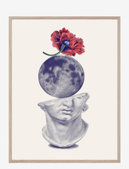 Red Poppy, Moon and Plaster - MULTI-COLORED